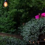 Los vecinos más famosos de las celebridades