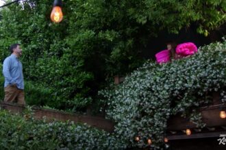 Los vecinos más famosos de las celebridades